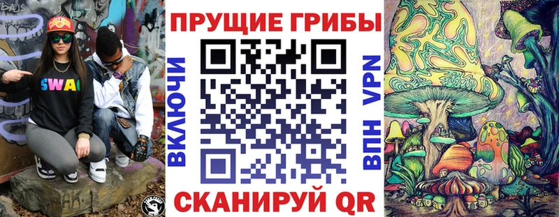 Купить где  Чишмы  Галлюциногенные грибы Cubensis 